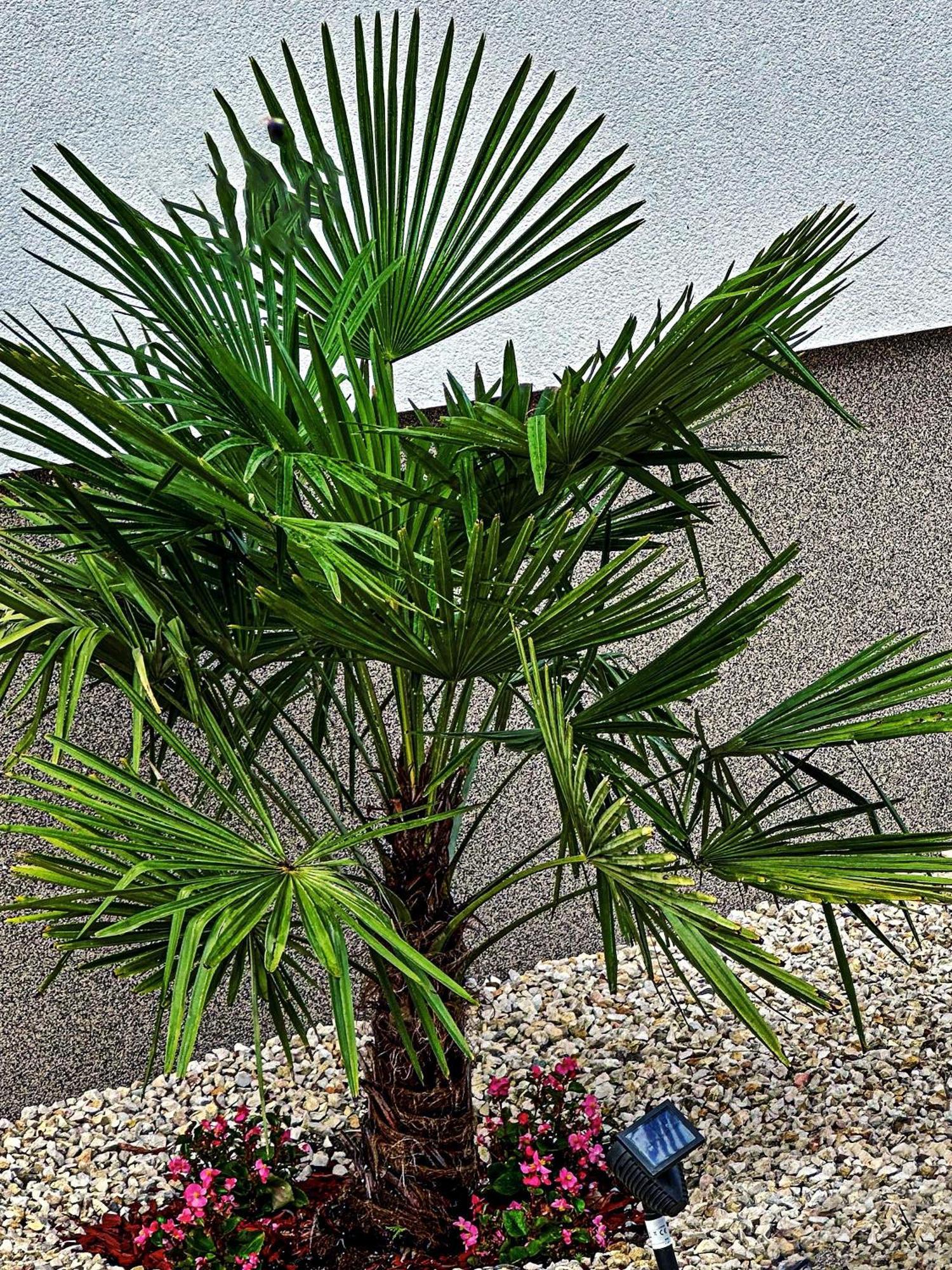 Vintiamo Apartmanok エゲルサローク エクステリア 写真